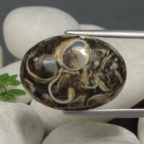 21.09 ct Multicolor Jasper Stone, Natural Jasper in Oval Cabochon Shape for Sale