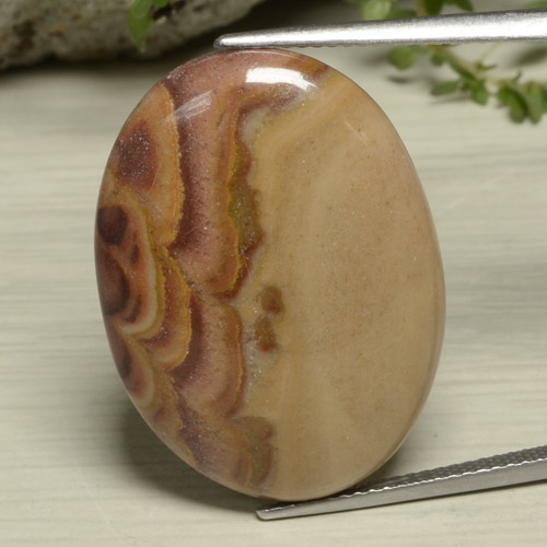 Mehrfarbig Jaspis Edelstein - 21.9ct Oval Cabochon (ID: 475856)