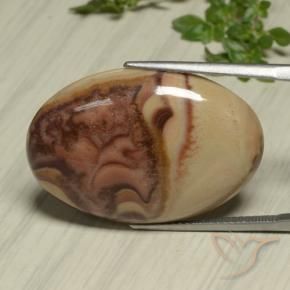 24.59 ct Multicolor Jasper Stone, Natural Jasper in Oval Cabochon Shape for Sale