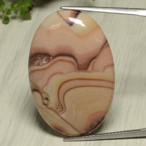 Multicolor Jasper Gem - 22.7ct Oval Cabochon (ID: 475865)