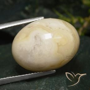 16.47 ct Multicolor Jasper Stone, Natural Jasper in Oval Cabochon Shape for Sale