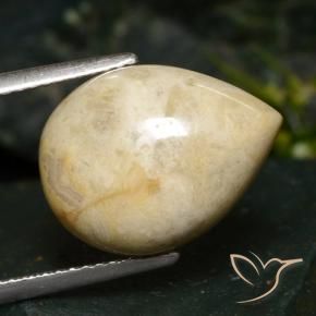 8.73 ct Multicolor Jasper Stone, Natural Jasper in Pear Cabochon Shape for Sale