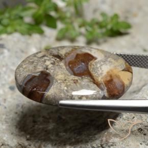 Jasper Gemstone in 27.5 x 22.7 mm Size for Sale, Jasper Stone in Multicolor Color