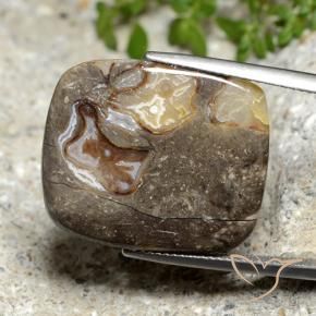 19.87 ct Multicolor Jasper Stone, Natural Jasper in Cushion Cabochon Shape for Sale