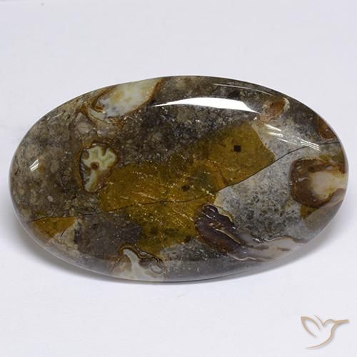48.91ct Natural Multicolor Jasper, Oval, Opaque