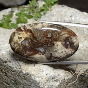 46.44 ct Multicolor Jasper Stone, Natural Jasper in Oval Cabochon Shape for Sale