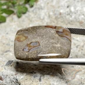 Jasper Gemstone in 22.7 x 20.1 mm Size for Sale, Jasper Stone in Multicolor Color