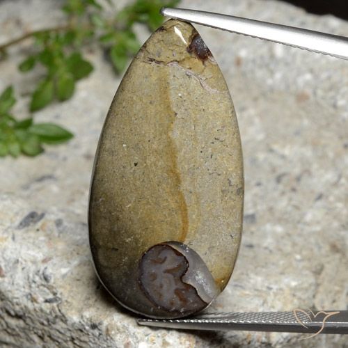 24.26ct Natural Multicolor Jasper, Pear Shape, Opaque