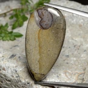 24.26 ct Multicolor Jasper Stone, Natural Jasper in Pear Cabochon Shape for Sale