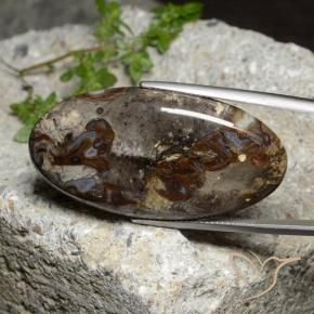 47.90 ct Multicolor Jasper Stone, Natural Jasper in Oval Cabochon Shape for Sale