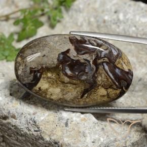 40.84 ct Multicolor Jasper Stone, Natural Jasper in Oval Cabochon Shape for Sale