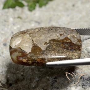 Jasper Gemstone in 28.2 x 20.5 mm Size for Sale, Jasper Stone in Multicolor Color