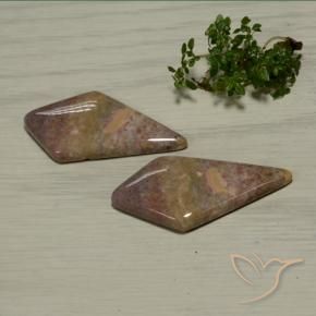 48.56 ctw Multicolor Jasper Stones, Natural Jasper in Rhomb Cabochon Shape for Sale