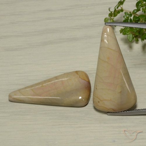 28.03ctw Natural Multicolor Jasper, Trillion, Opaque