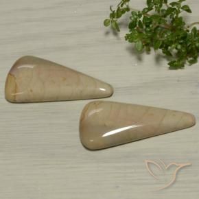 28.03 ctw Multicolor Jasper Stones, Natural Jasper in Trillion Cabochon Shape for Sale
