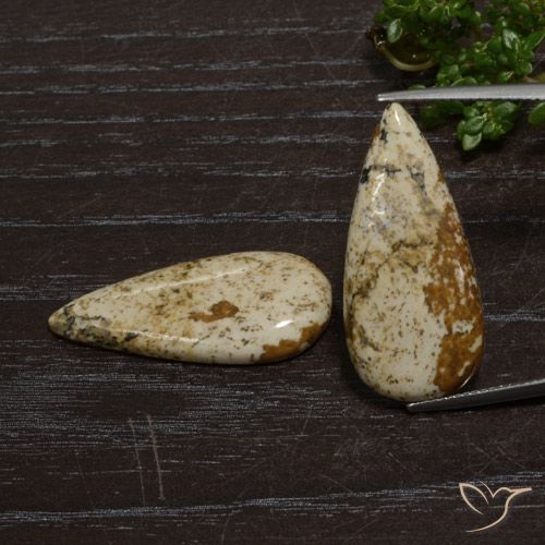 Multicolor Jasper Gem - 12.4ct Pear Cabochon (ID: 476896)