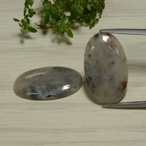 Multicolor Jasper Gem - 6.9ct Oval Cabochon (ID: 476902)