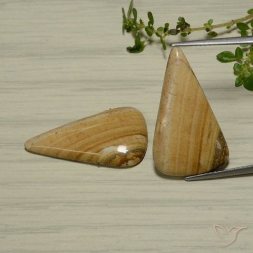 13.78ctw Natural Multicolor Jasper, Pear Shape, Opaque