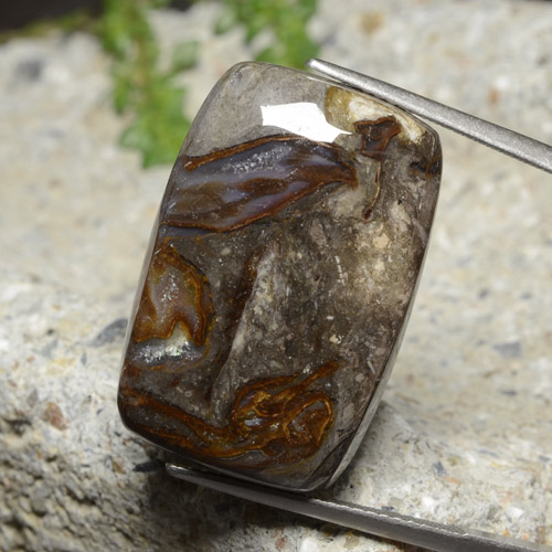 Multicolor Jasper Gem - 25.4ct Cushion Cabochon (ID: 478024)