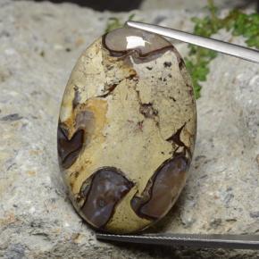 Многоцветный Яшма Камень - 39.4ct Овал Кабошон (ID: 478027)