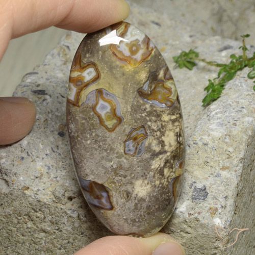 76.29ct Natural Multicolor Jasper, Oval, Opaque