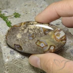 76.29 ct Multicolor Jasper Stone, Natural Jasper in Oval Cabochon Shape for Sale