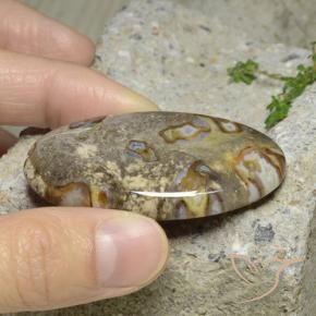 Jasper Gemstone in 50.1 x 26.5 mm Size for Sale, Jasper Stone in Multicolor Color