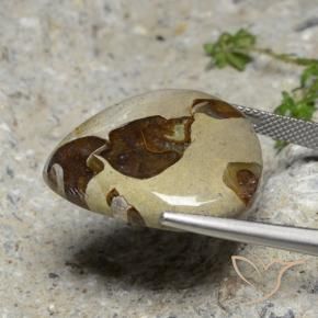 Jasper Gemstone in 24.6 x 21.5 mm Size for Sale, Jasper Stone in Multicolor Color