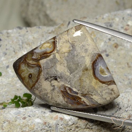 28.71ct Natural Multicolor Jasper, Trillion, Opaque