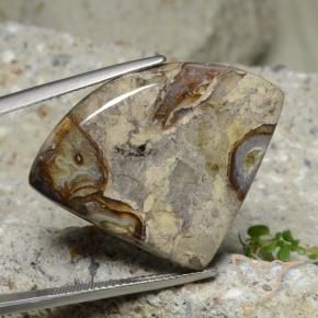 28.71 ct Multicolor Jasper Stone, Natural Jasper in Trillion Cabochon Shape for Sale