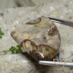 Jasper Gemstone in 32.3 x 25.3 mm Size for Sale, Jasper Stone in Multicolor Color