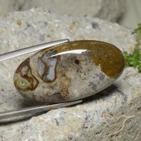 30.95 ct Multicolor Jasper Stone, Natural Jasper in Oval Cabochon Shape for Sale