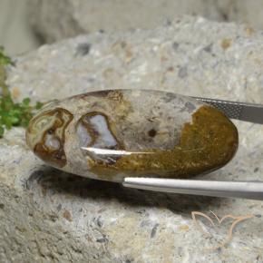 Jasper Gemstone in 34.3 x 18 mm Size for Sale, Jasper Stone in Multicolor Color
