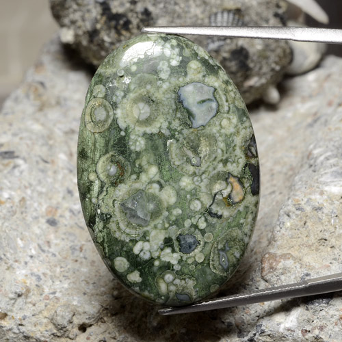 Multicolor Jasper Gem - 28.2ct Oval Cabochon (ID: 478141)