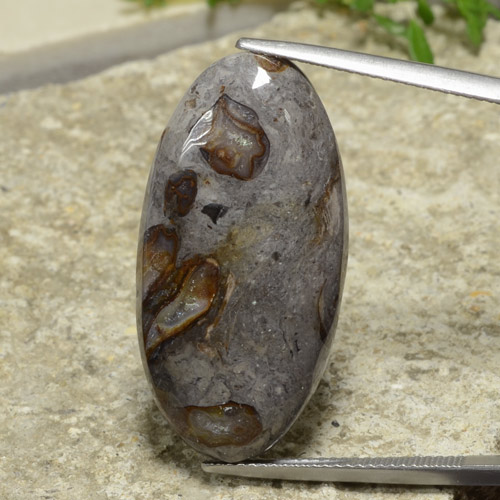 Multicolor Jasper Gem - 22.7ct Oval Cabochon (ID: 478230)