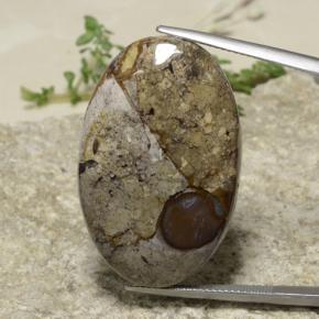Multicolor Jasper Gem - 37.6ct Oval Cabochon (ID: 478231)