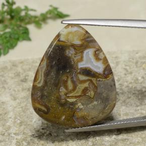 Multicolor Jasper Gem - 15.6ct Pear Cabochon (ID: 478234)