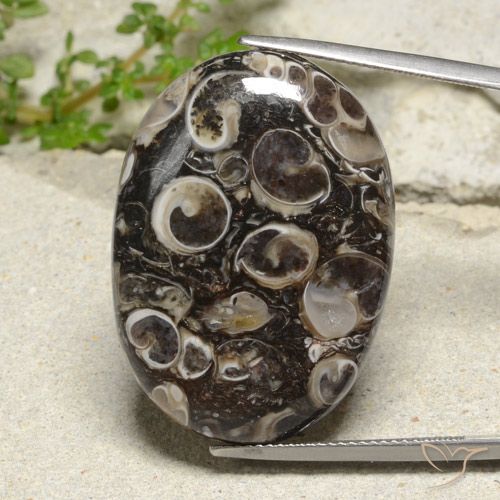 35.02ct Natural Multicolor Jasper, Oval, Opaque
