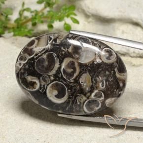 35.02 ct Multicolor Jasper Stone, Natural Jasper in Oval Cabochon Shape for Sale