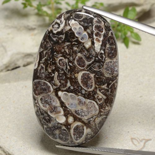 55.34ct Natural Multicolor Jasper, Oval, Opaque