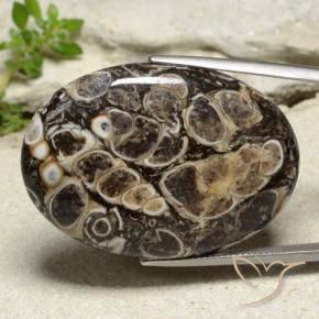 52.46 ct Multicolor Jasper Stone, Natural Jasper in Oval Cabochon Shape for Sale