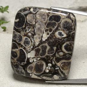 Multicolor Jasper Gem - 58.4ct Cushion Cabochon (ID: 481135)
