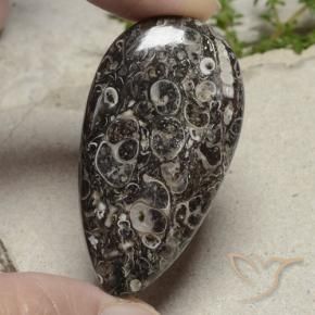 48.79 ct Multicolor Jasper Stone, Natural Jasper in Pear Cabochon Shape for Sale