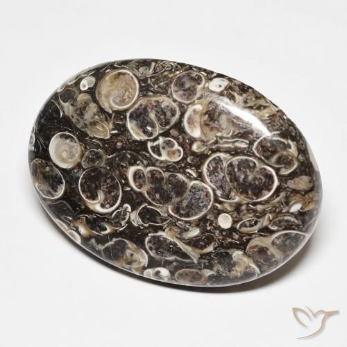 45.70 ct Multicolor Jasper Stone, Natural Jasper in Oval Cabochon Shape for Sale