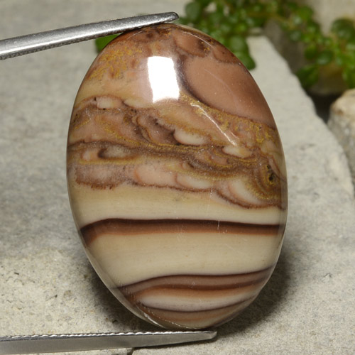 Multicolor Jasper Gem - 26.6ct Oval Cabochon (ID: 481162)