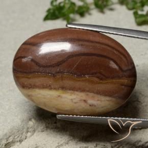 23.09 ct Multicolor Jasper Stone, Natural Jasper in Oval Cabochon Shape for Sale