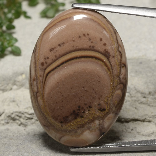 Mehrfarbig Jaspis Edelstein - 20.3ct Oval Cabochon (ID: 481207)