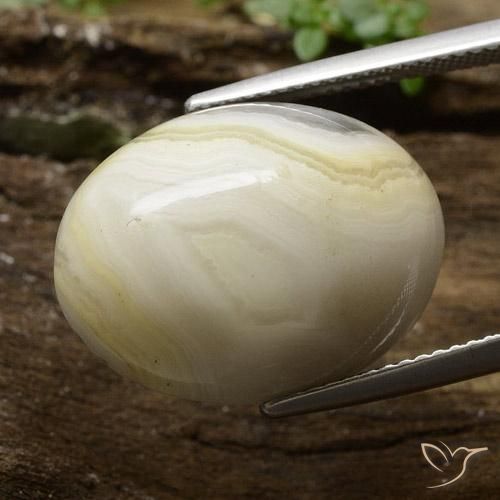16.43 ct Multicolor Jasper Stone, Natural Jasper in Oval Cabochon Shape for Sale