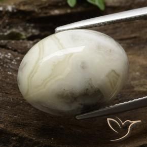 17.21 ct Multicolor Jasper Stone, Natural Jasper in Oval Cabochon Shape for Sale