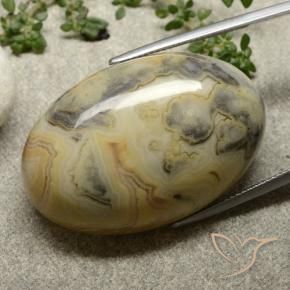 62.76 ct Multicolor Jasper Stone, Natural Jasper in Oval Cabochon Shape for Sale